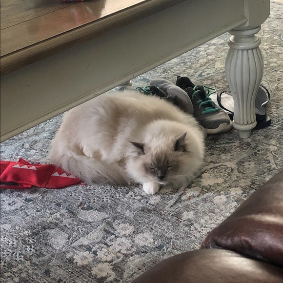 REBRANDING!! - Picture 10 of 13